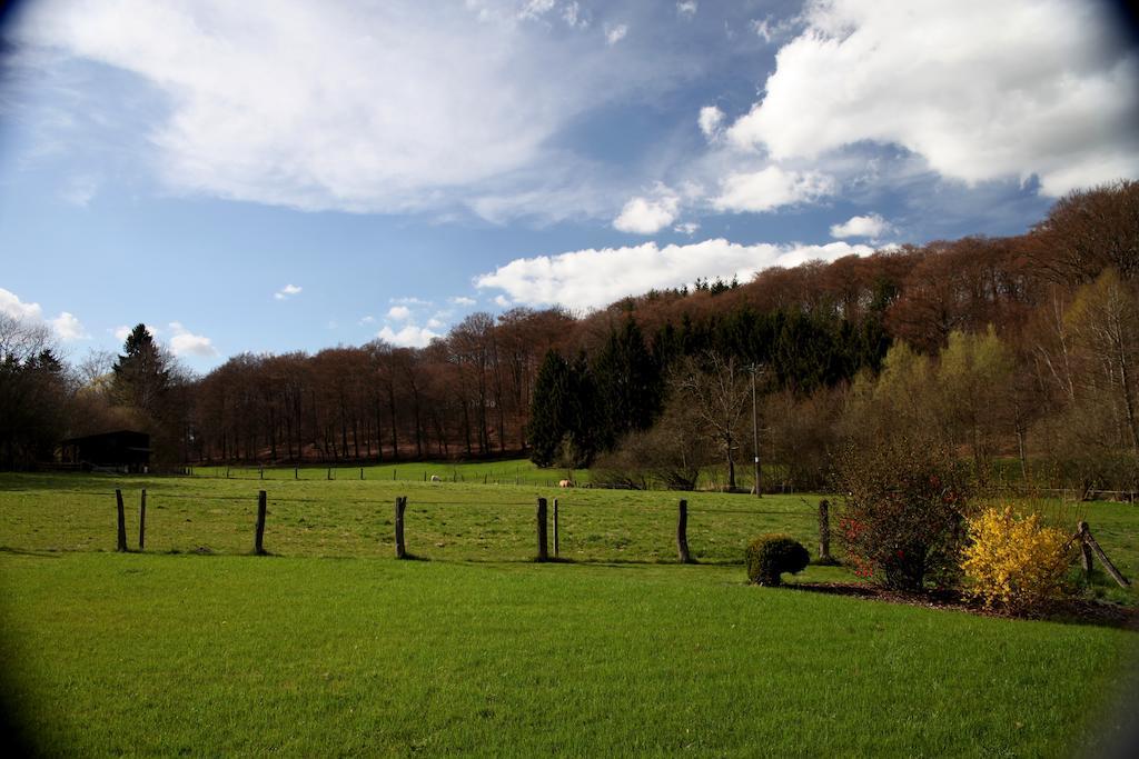 Une Parenthese En Ardenne Nollevaux Pokój zdjęcie