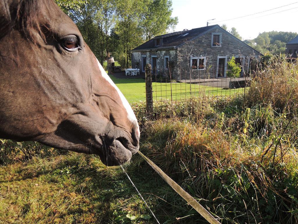 Une Parenthese En Ardenne Nollevaux Pokój zdjęcie